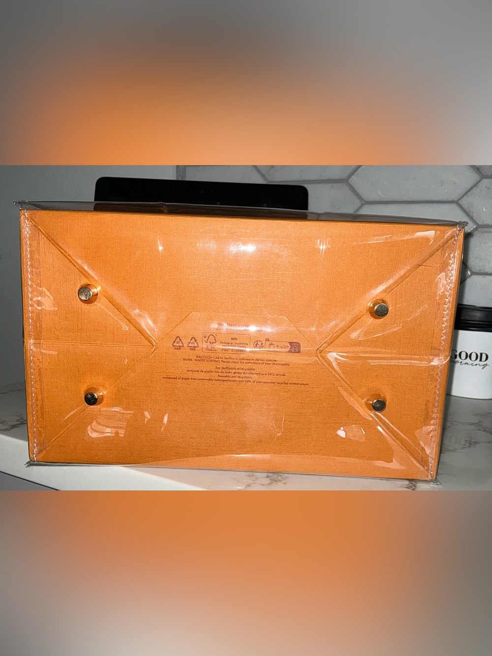 Louis Vuitton Paper Shopping Bag with PVC Protector - Picture 4 of 5